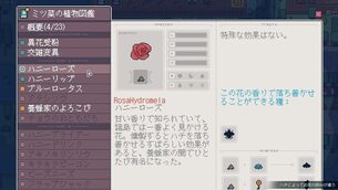 APICO__img8.jpg