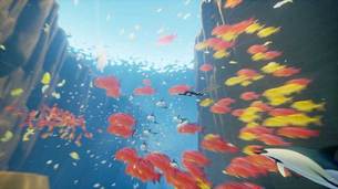 Abzu_img3.jpg
