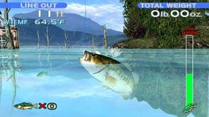 Bass-Fishing_img2.jpg