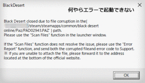 Black_Desert__steam2023_error1b.gif