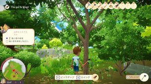 Everdream_Valley__img9.jpg