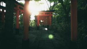 Explore-Kyotos-Red-Gates-4.jpg