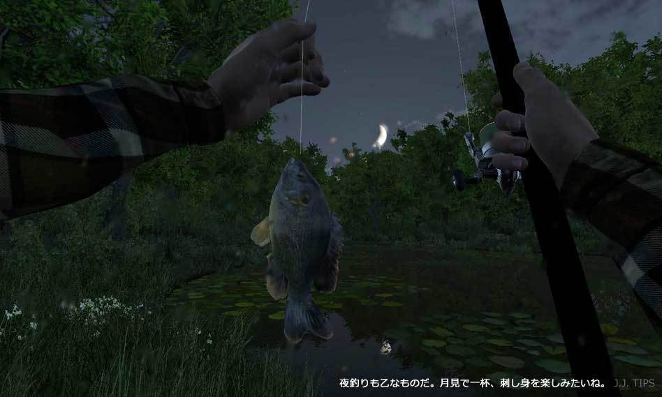 無料で遊べる美麗3d釣りゲーム Fishing Planet Steam版が正式リリース 感想 特徴紹介 Jj Pcゲームラボ