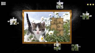 KittyCatJigsawPuzzles.jpg