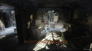 Metro_Exodus_PC_ENHANCED_EDITION__image41.jpg
