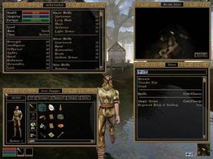 Morrowind_img2.jpg