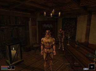 Morrowind_img3.jpg