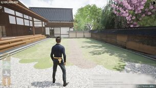 Niwa__Japanese_Garden_Simulator__early_img7z.jpg