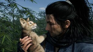 Rise_of_the_Ronin__pc_announce_img2.jpg