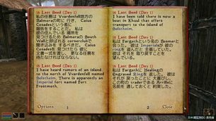 The_Elder_Scrolls_III_Morrowind__japanese_img3.jpg