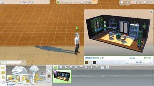 The_Sims_4_Blooming_Rooms_Kit__image6.jpg