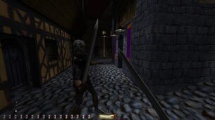 Thief_Gold__img3.jpg