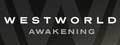 Westworld-Awakening.jpg