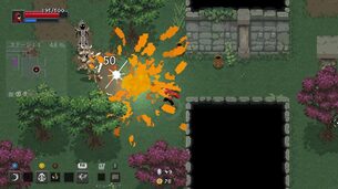 Wizard_of_Legend__img_new2.jpg