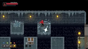 Wizard_of_Legend__img_new6.jpg