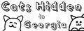 list-Cats-Hidden-in-Georgia.jpg