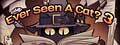 Ever-Seen-A-Cat-3