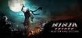 NINJA-GAIDEN-MC