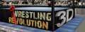 list-Wrestling-Revolution-3.jpg