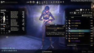 the_elder_scrolls_online__japanese_img11.jpg